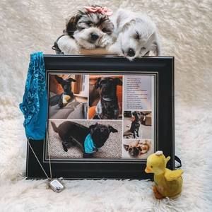 Meet your Posher, Sherrie